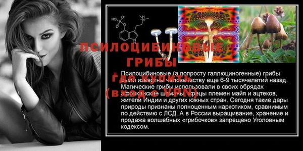 скорость Покачи