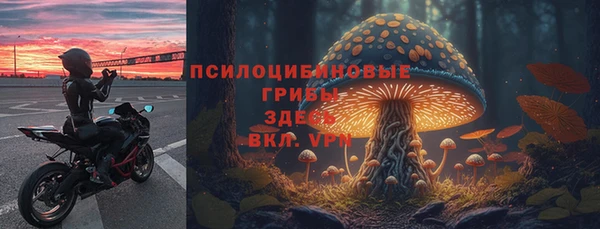 мяу мяу мука Алзамай